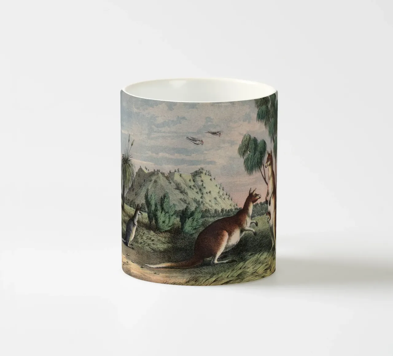 Vintage Kolb 1 Tafel 23 Riesenkänguruh tazza in ceramica da Vintage Print Collection