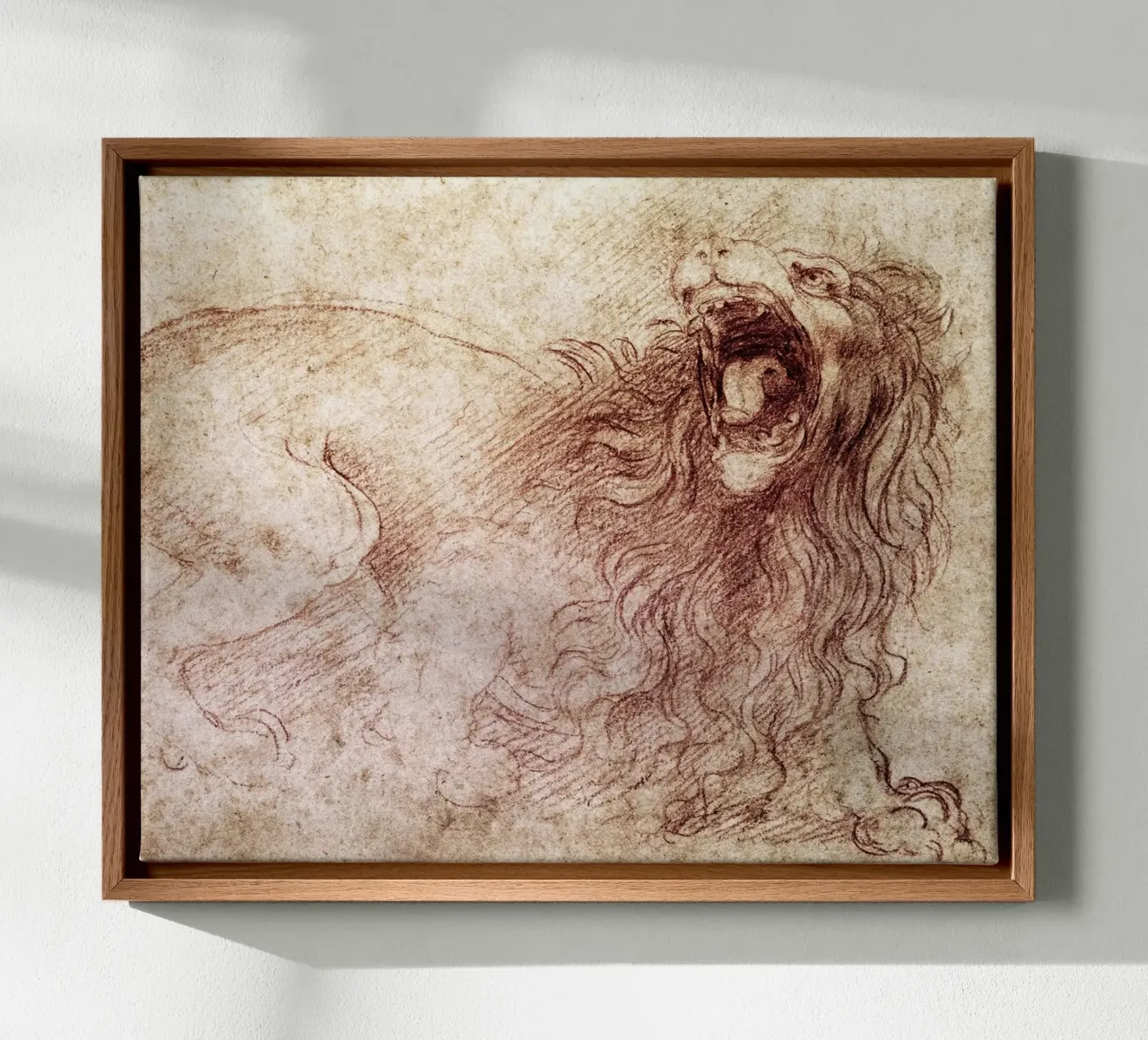 Sketch of a roaring lion by Leonardo da Vinci canvas with Floater frame by James McIntosh