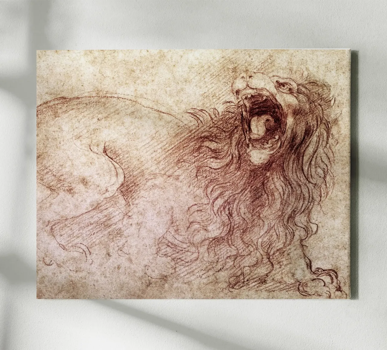 Sketch of a roaring lion by Leonardo da Vinci canvas with Floater frame by James McIntosh