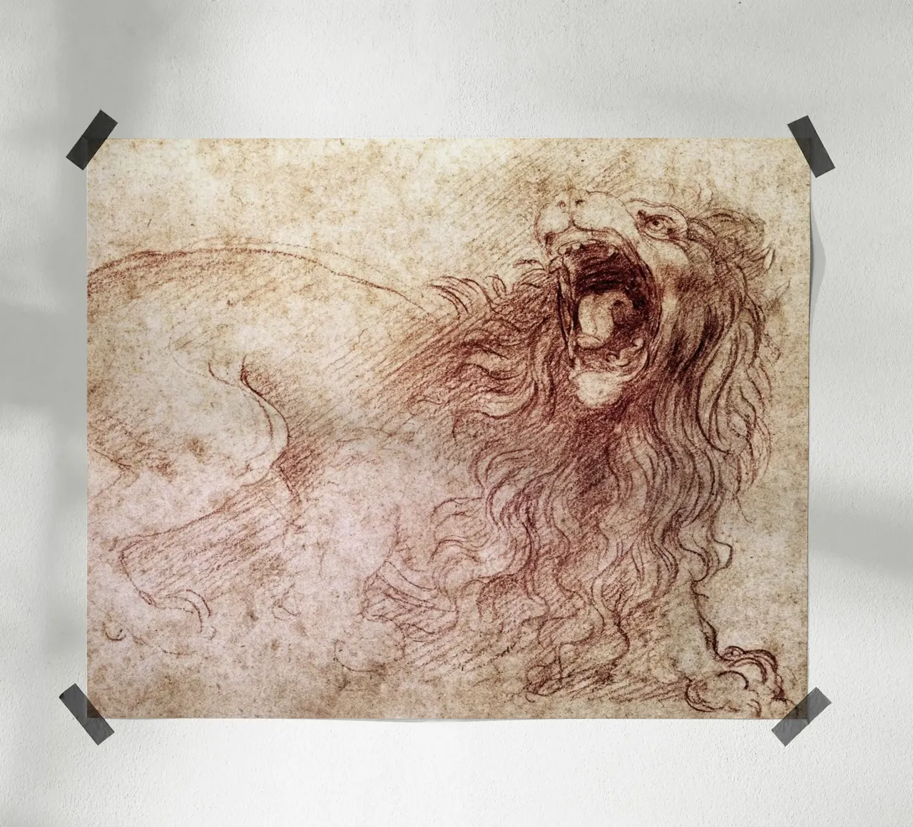 Schizzo di un leone ruggente di Leonardo da Vinci poster da James McIntosh