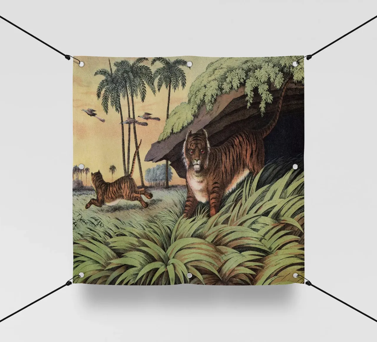 Vintage Kolb 2 Tafel 13 Tiger telo in pvc da Vintage Print Collection