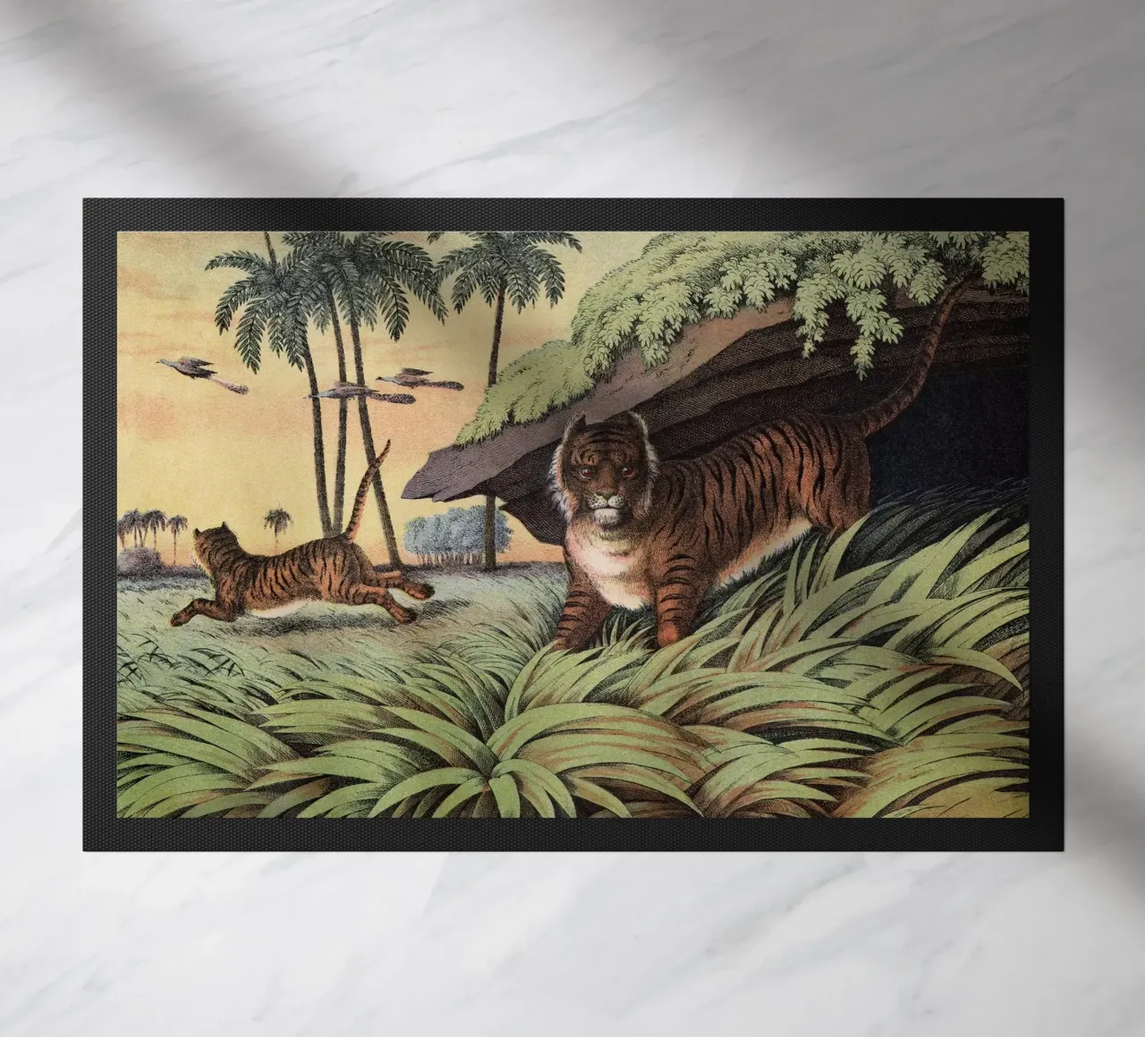 Vintage Kolb 2 Tafel 13 Tiger zerbino da Vintage Print Collection