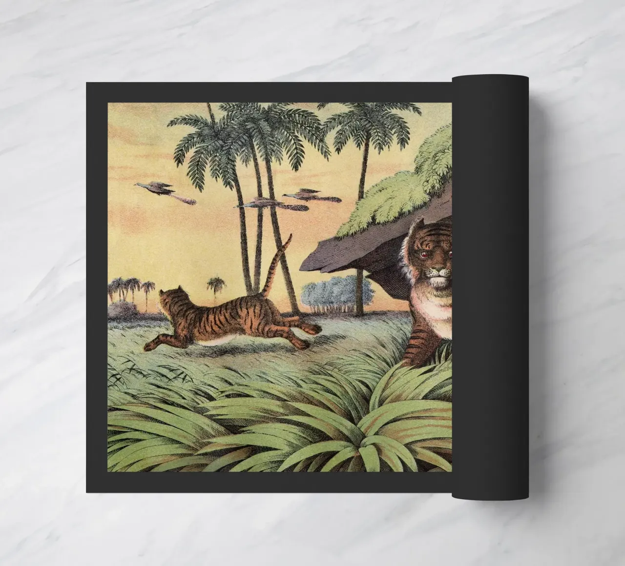 Vintage Kolb 2 Tafel 13 Tiger zerbino da Vintage Print Collection