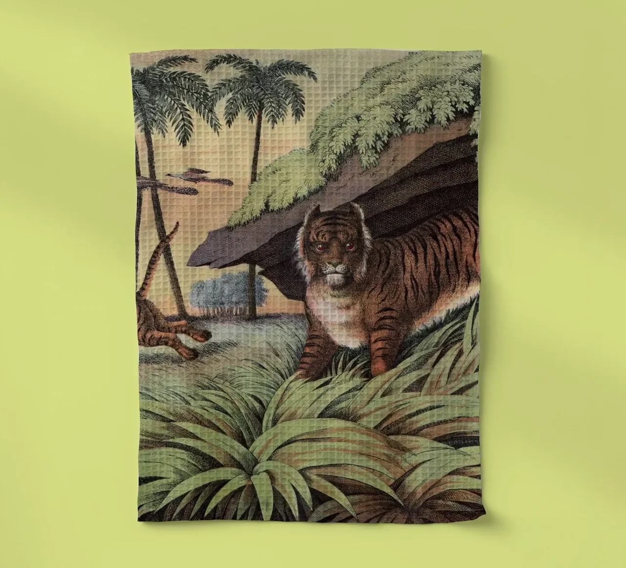 Vintage Kolb 2 Tafel 13 Tiger canovaccio da cucina da Vintage Print Collection