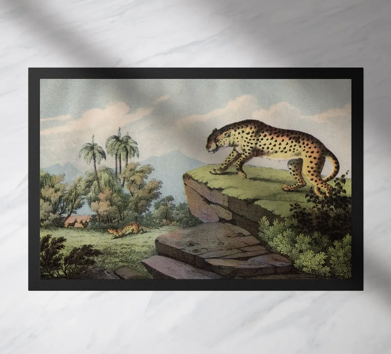 Vintage Kolb 2 Tafel 14 Gepard zerbino da Vintage Print Collection