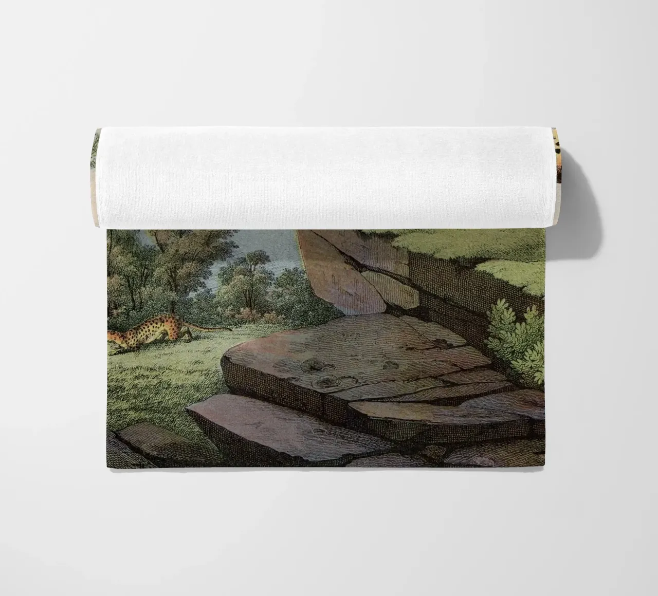 Vintage Kolb 2 Tafel 14 Gepard telo mare da Vintage Print Collection