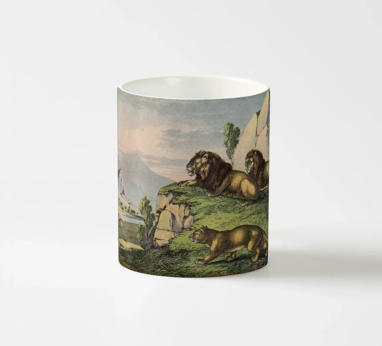 Vintage Kolb 2 Tafel 27 Löwe tazza in ceramica da Vintage Print Collection