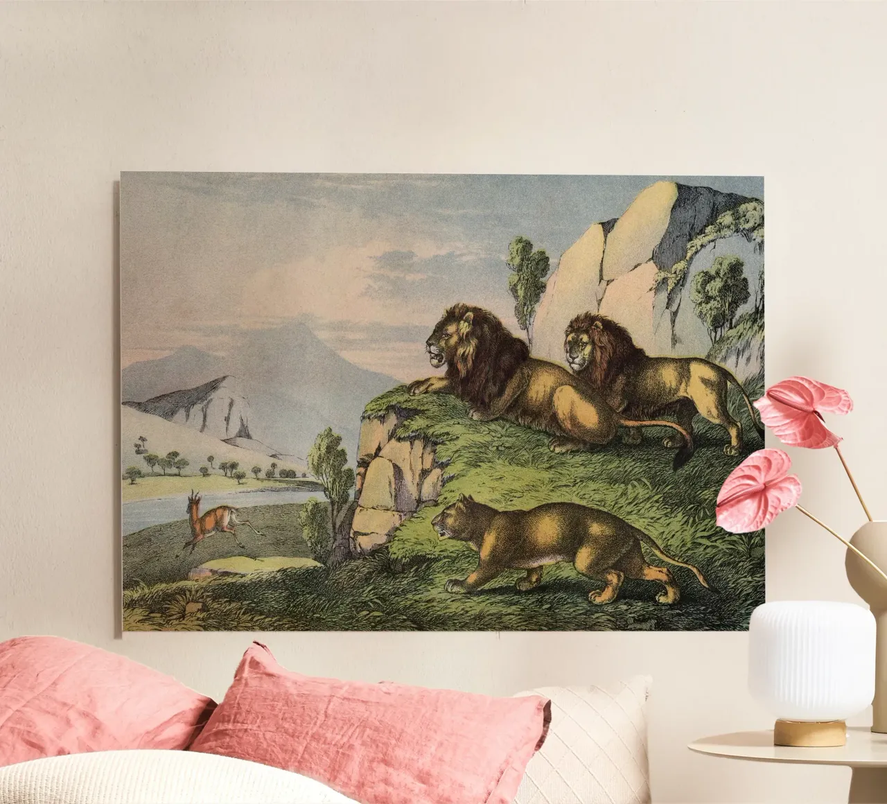 Vintage Kolb 2 Tafel 27 Löwe alluminio dibond da Vintage Print Collection
