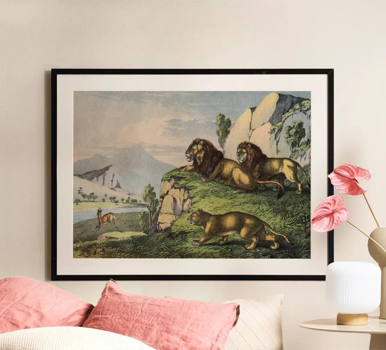 Vintage Kolb 2 Tafel 27 Löwe poster con telaio in alluminio da Vintage Print Collection