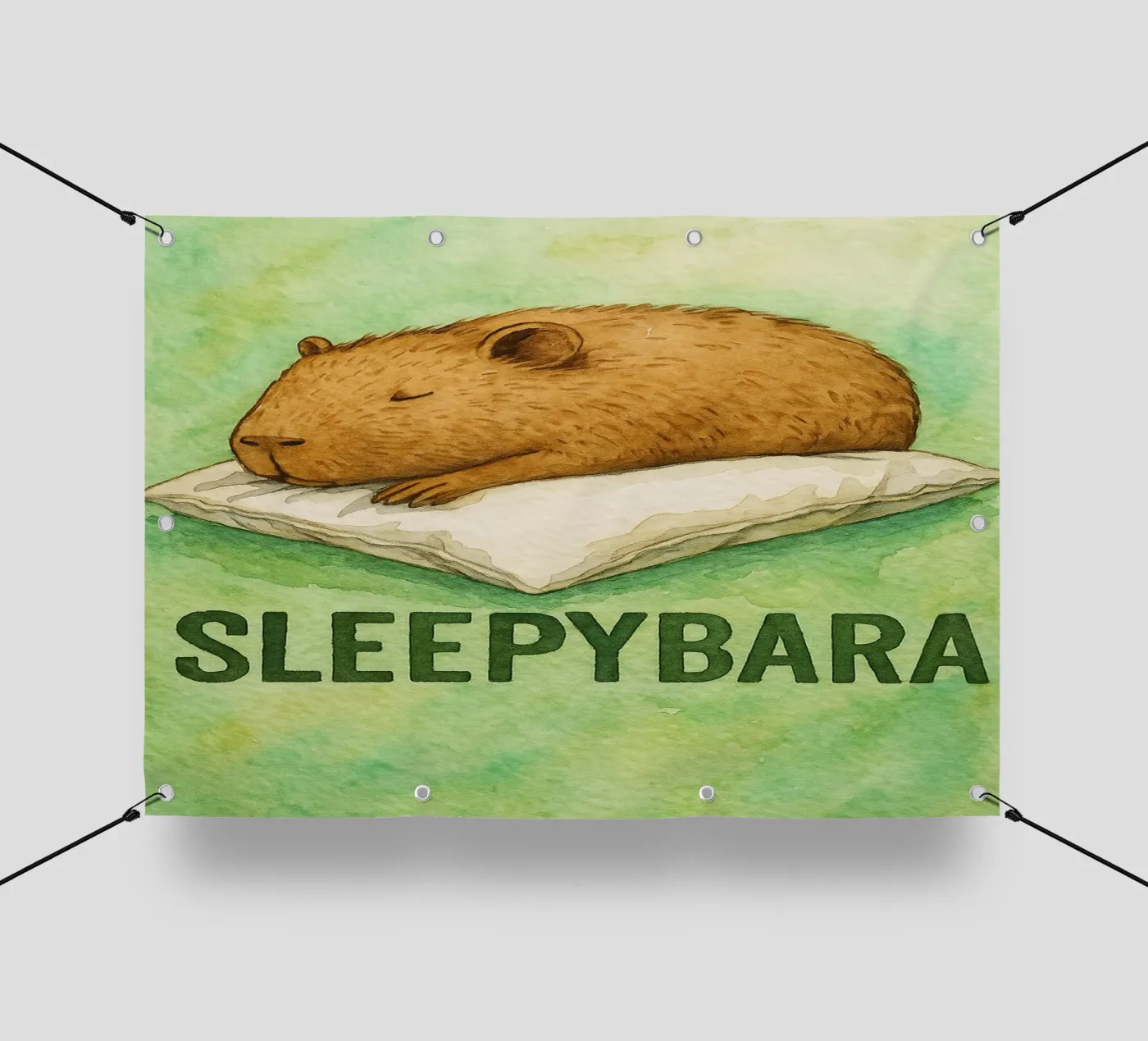 sleepybara drawing PVC Plane von cepeducks