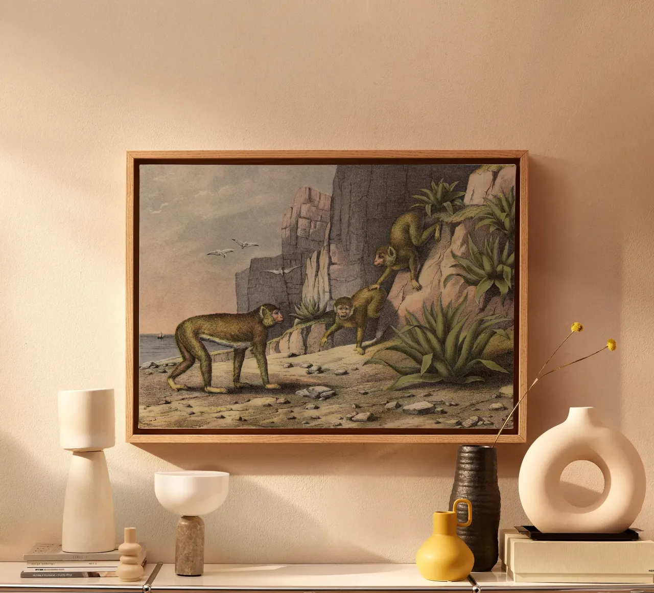 Vintage Kolb 3 Tafel 11 Hundsaffe tela con Cornice a cassetta da Vintage Print Collection