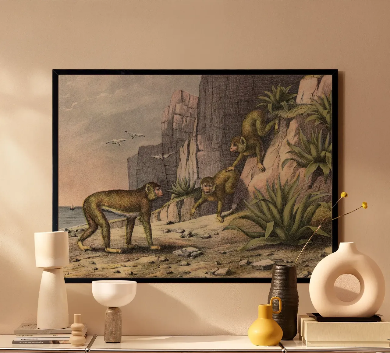 Vintage Kolb 3 Tafel 11 Hundsaffe poster con telaio in legno da Vintage Print Collection