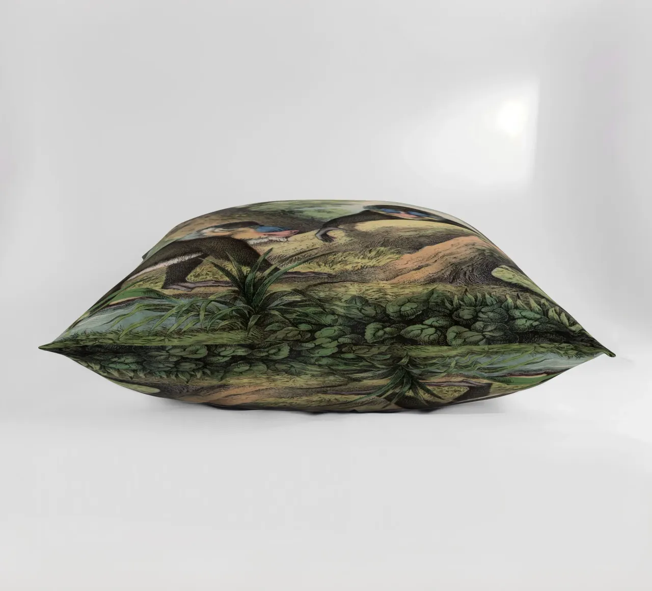 Vintage Kolb 3 Tafel 41 Mandrill cuscino da Vintage Print Collection