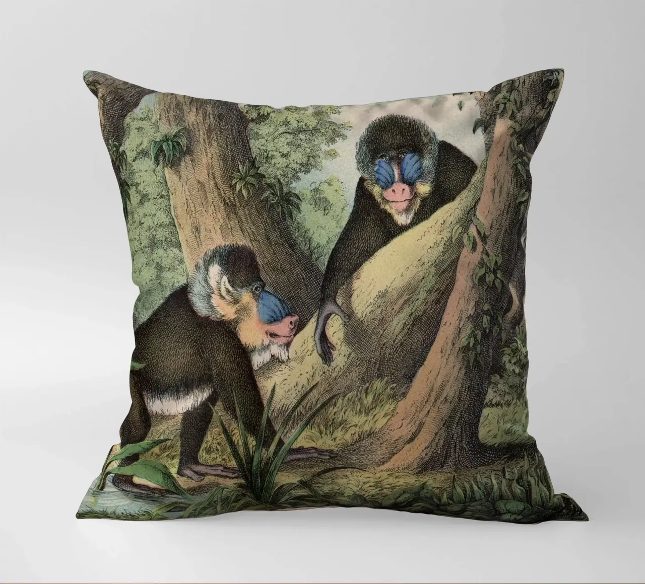 Vintage Kolb 3 Tafel 41 Mandrill cuscino da Vintage Print Collection