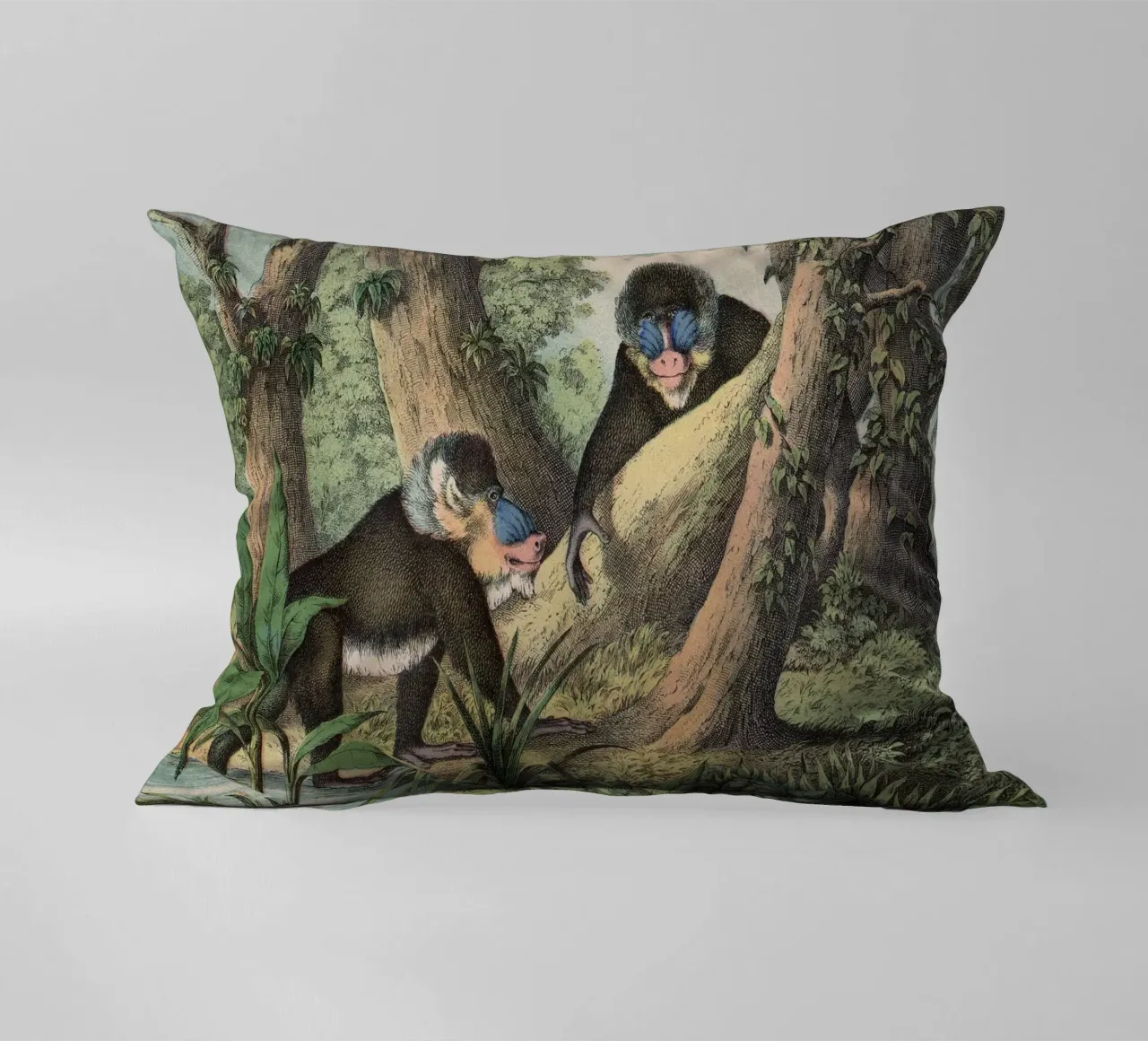 Vintage Kolb 3 Tafel 41 Mandrill cuscino da Vintage Print Collection