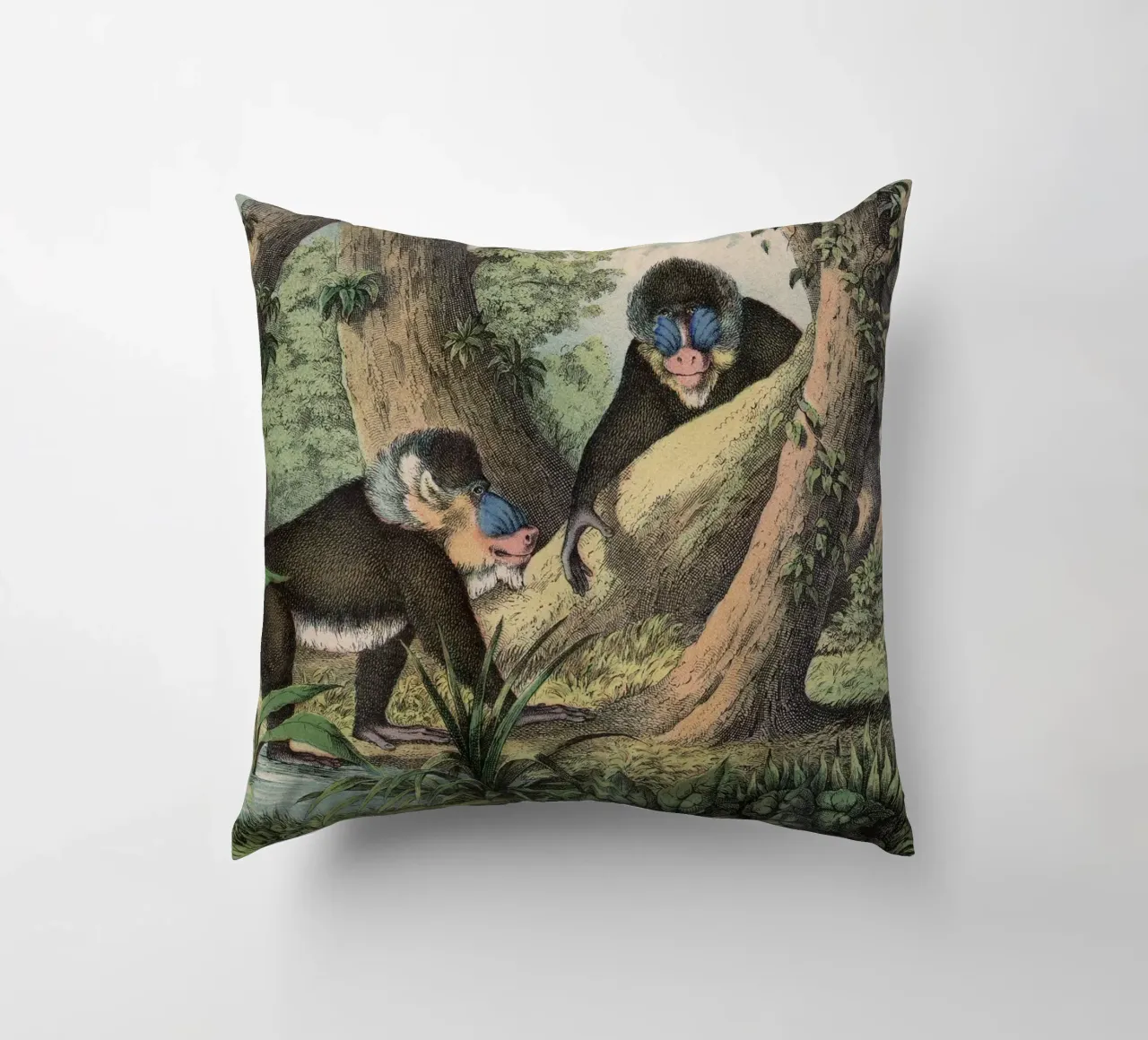 Vintage Kolb 3 Tafel 41 Mandrill cuscino da Vintage Print Collection