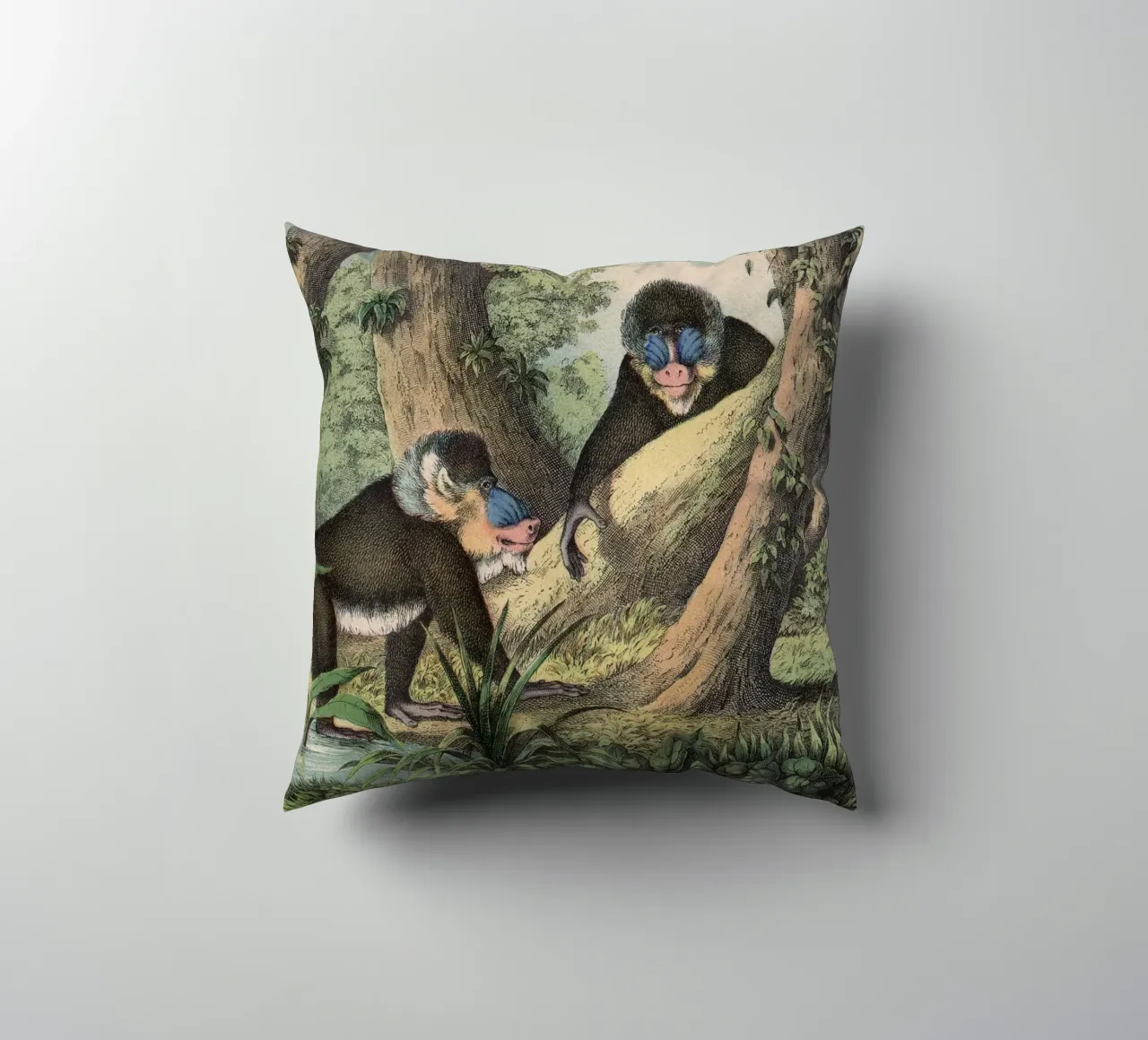 Vintage Kolb 3 Tafel 41 Mandrill cuscino da Vintage Print Collection