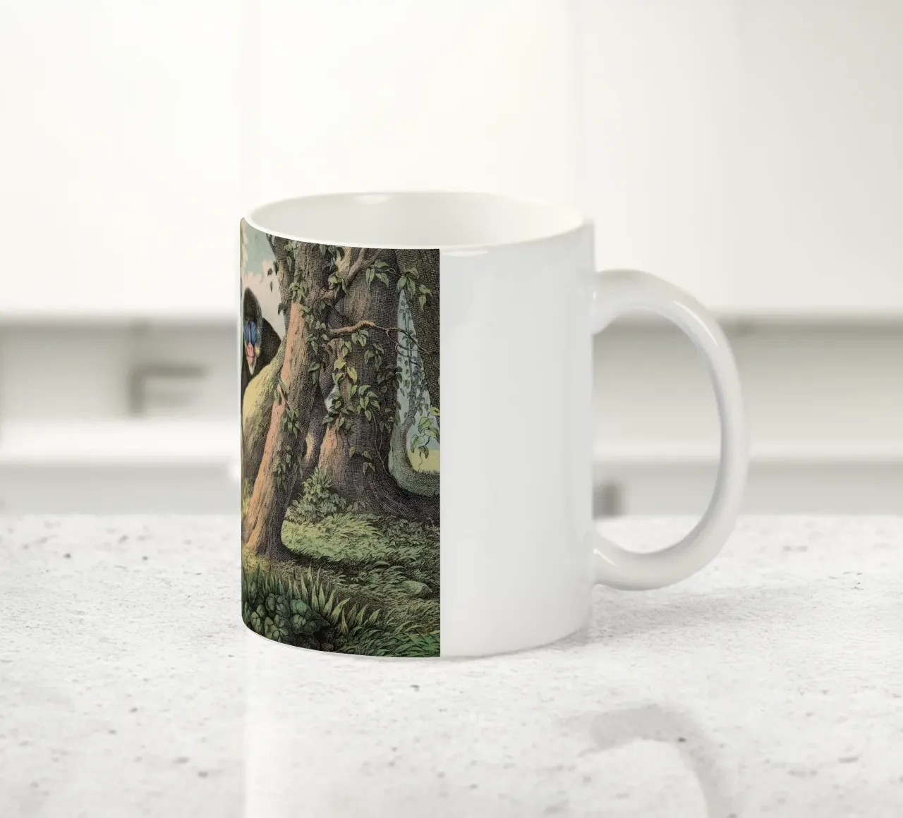 Vintage Kolb 3 Tafel 41 Mandrill tazza in ceramica da Vintage Print Collection