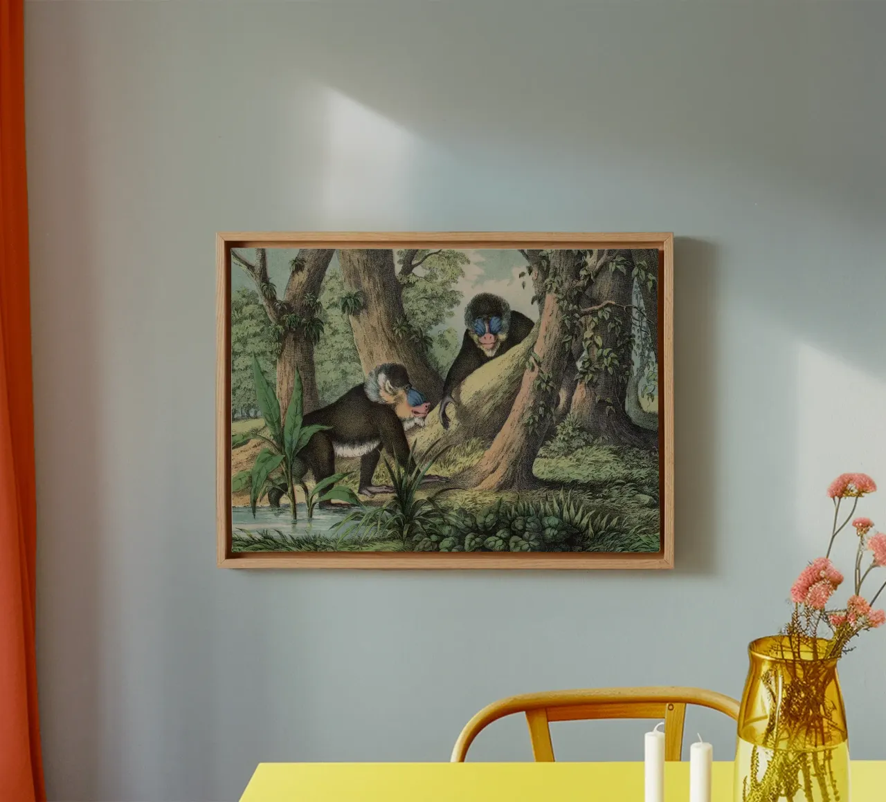 Vintage Kolb 3 Tafel 41 Mandrill canvas met Baklijst van Vintage Print Collection