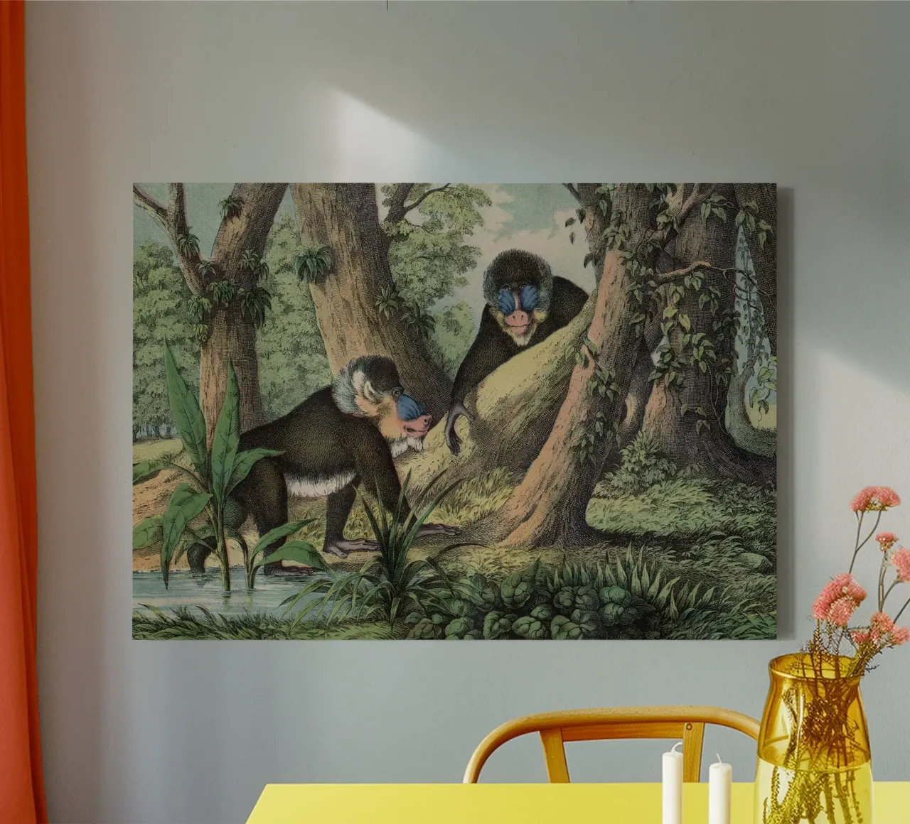 Vintage Kolb 3 Tafel 41 Mandrill canvas met Baklijst van Vintage Print Collection