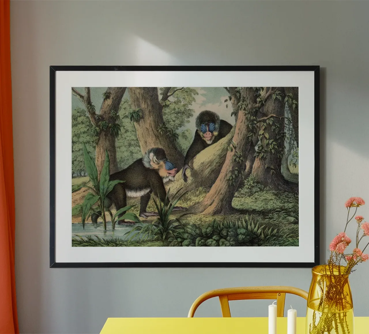 Vintage Kolb 3 Tafel 41 Mandrill poster con telaio in legno da Vintage Print Collection