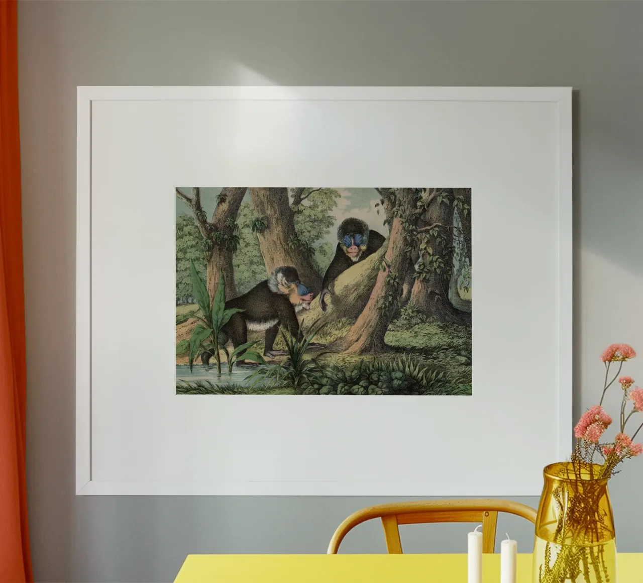 Vintage Kolb 3 Tafel 41 Mandrill poster con telaio in legno da Vintage Print Collection
