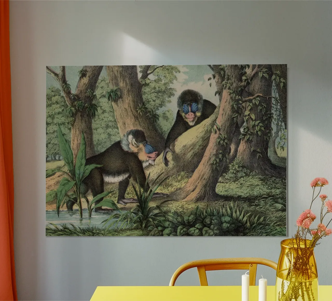 Vintage Kolb 3 Tafel 41 Mandrill poster con telaio in legno da Vintage Print Collection