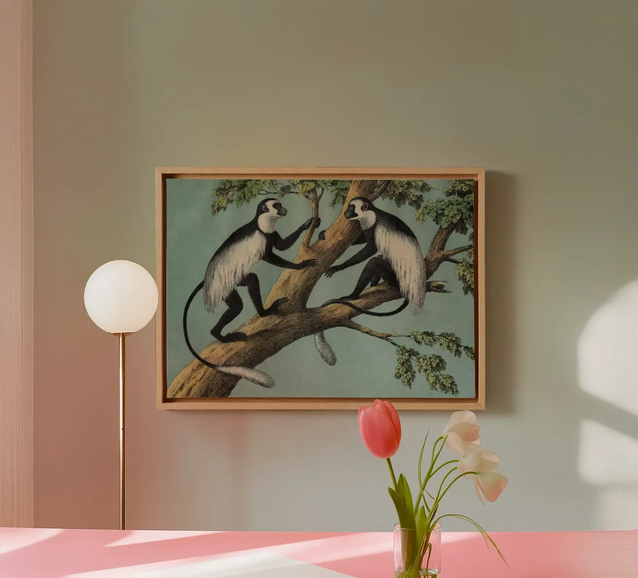 Vintage Kolb 3 Tafel 42 Guerezza canvas met Baklijst van Vintage Print Collection