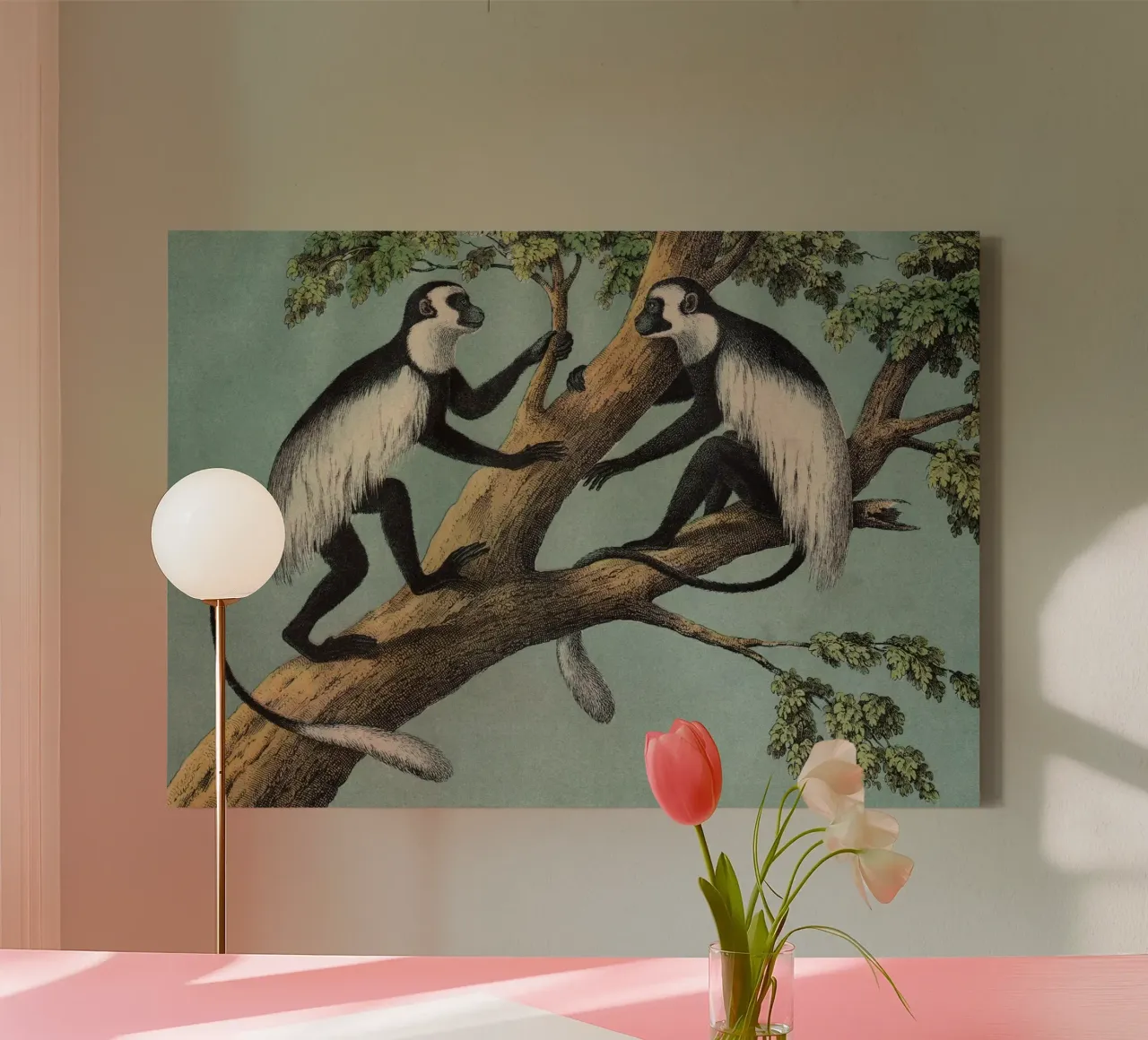 Vintage Kolb 3 Tafel 42 Guerezza canvas met Baklijst van Vintage Print Collection