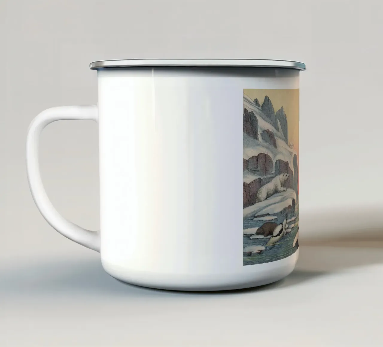 Vintage Kolb 4 Tafel 57 Walross tazza in smalto da Vintage Print Collection