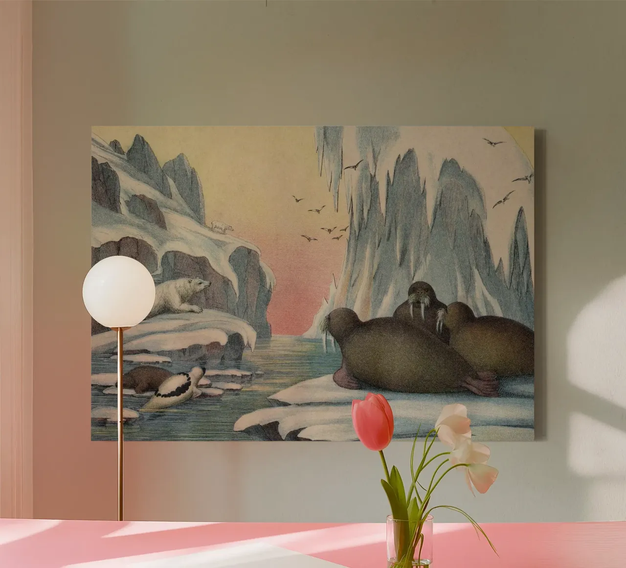 Vintage Kolb 4 Tafel 57 Walross tela con Cornice a cassetta da Vintage Print Collection