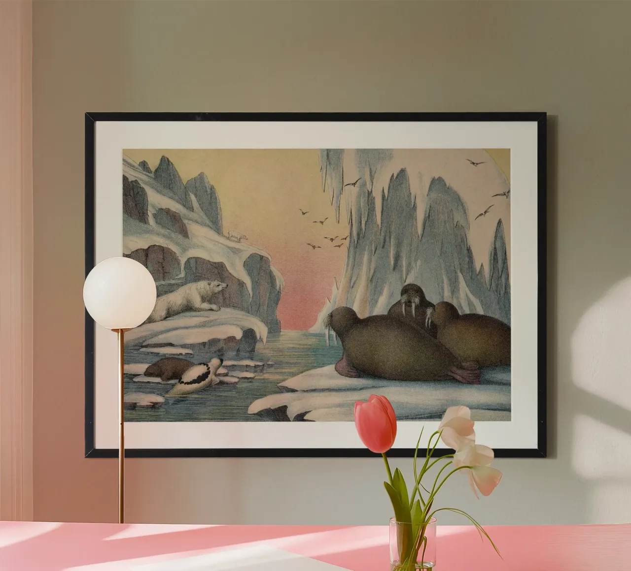 Vintage Kolb 4 Tafel 57 Walross poster da Vintage Print Collection