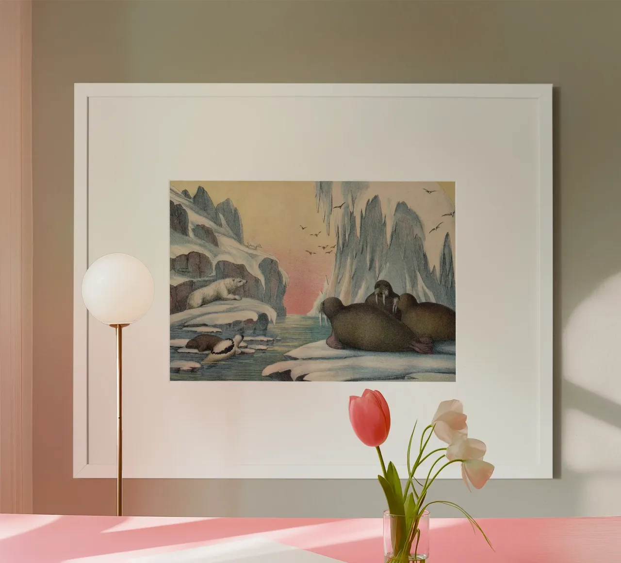 Vintage Kolb 4 Tafel 57 Walross poster da Vintage Print Collection
