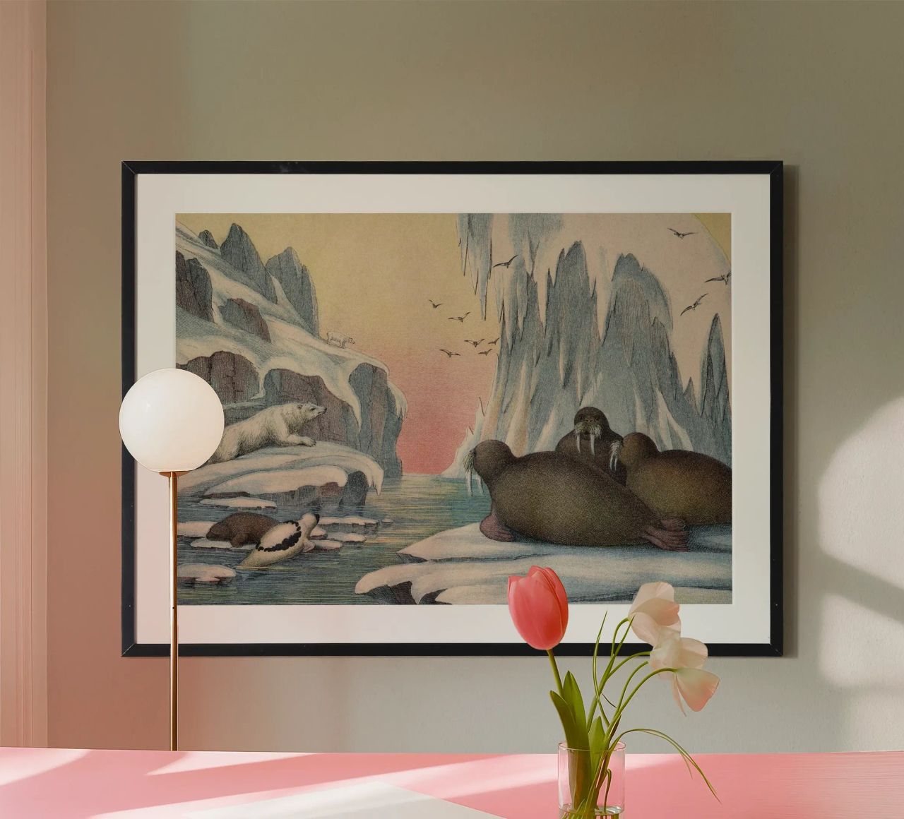 Vintage Kolb 4 Tafel 57 Walross poster van Vintage Print Collection