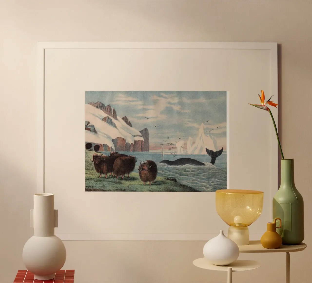 Vintage Kolb 4 Tafel 58 Walfisch poster con telaio in plastica da Vintage Print Collection