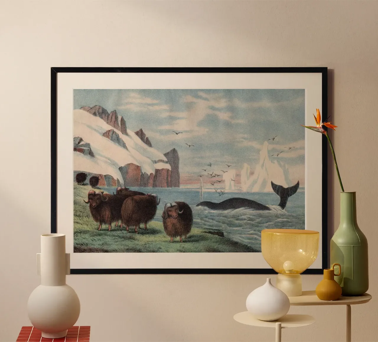 Vintage Kolb 4 Tafel 58 Walfisch poster con telaio in plastica da Vintage Print Collection