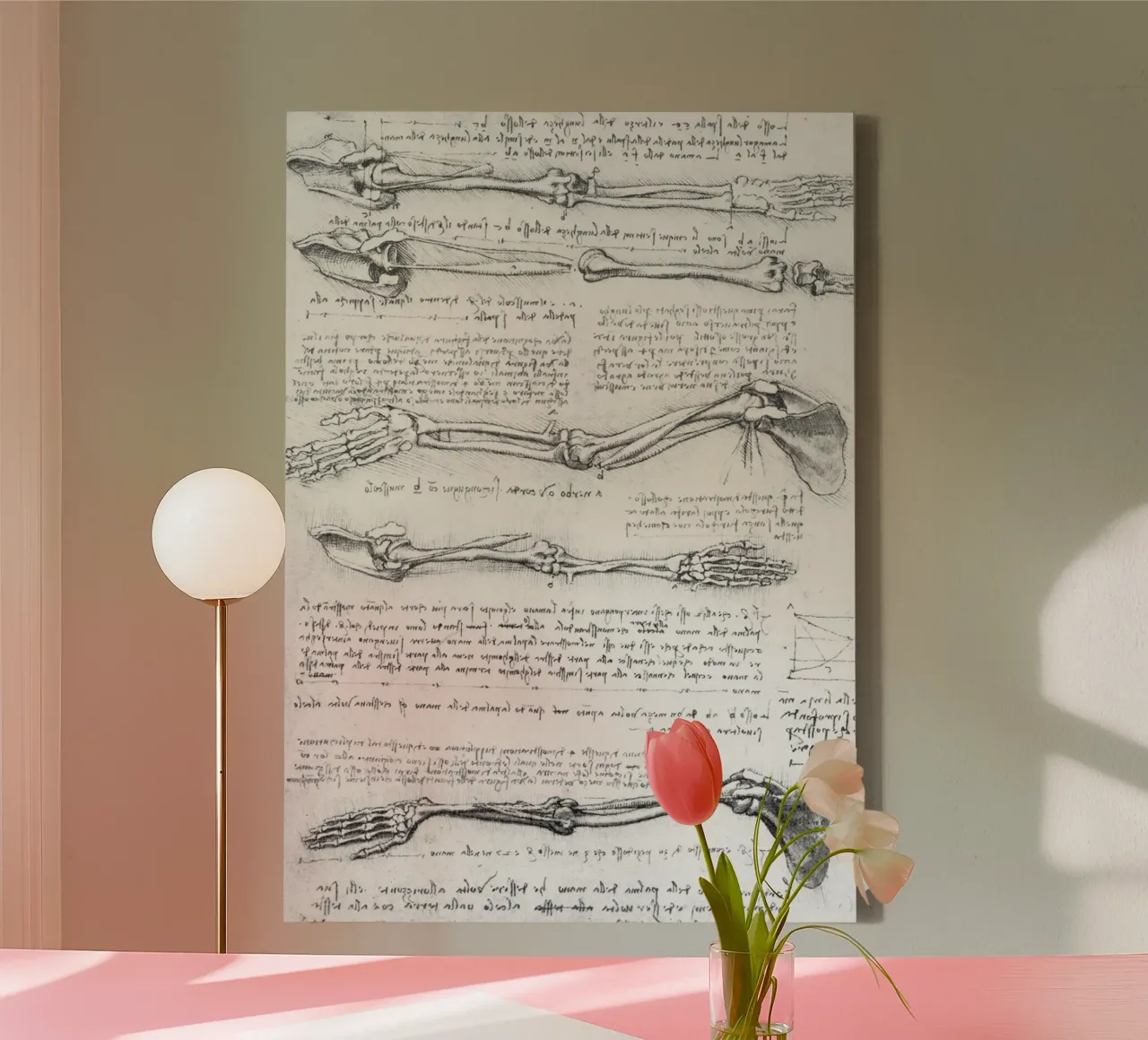 Anatomical study of the arm canvas with Floater frame by James McIntosh