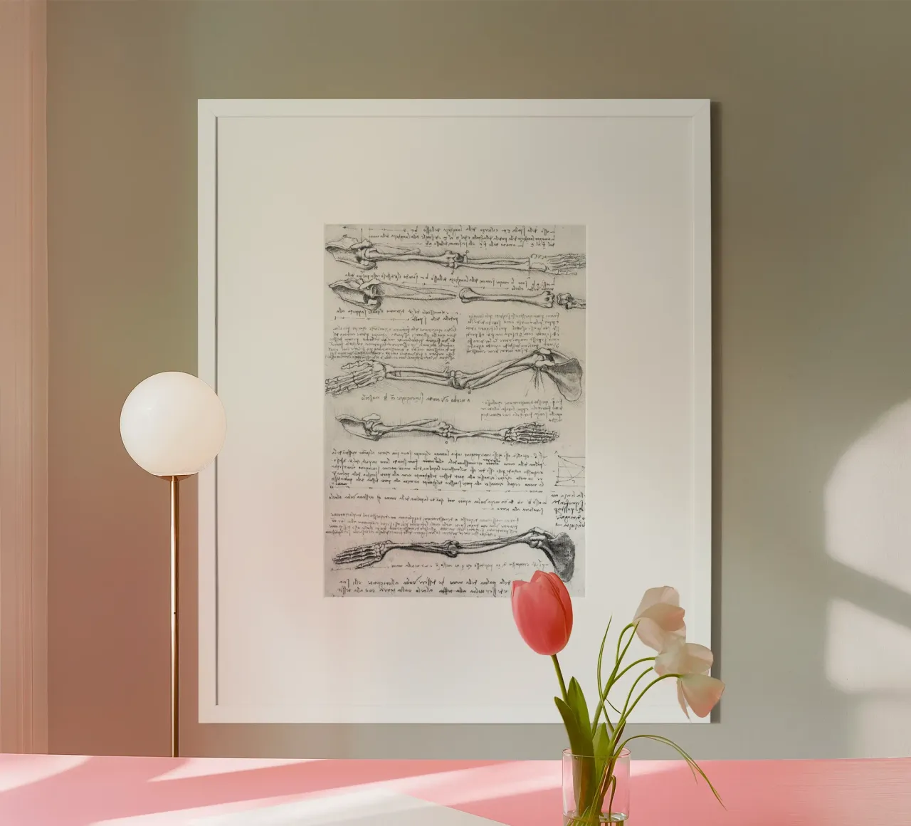 Studio anatomico del braccio poster con telaio in legno da James McIntosh
