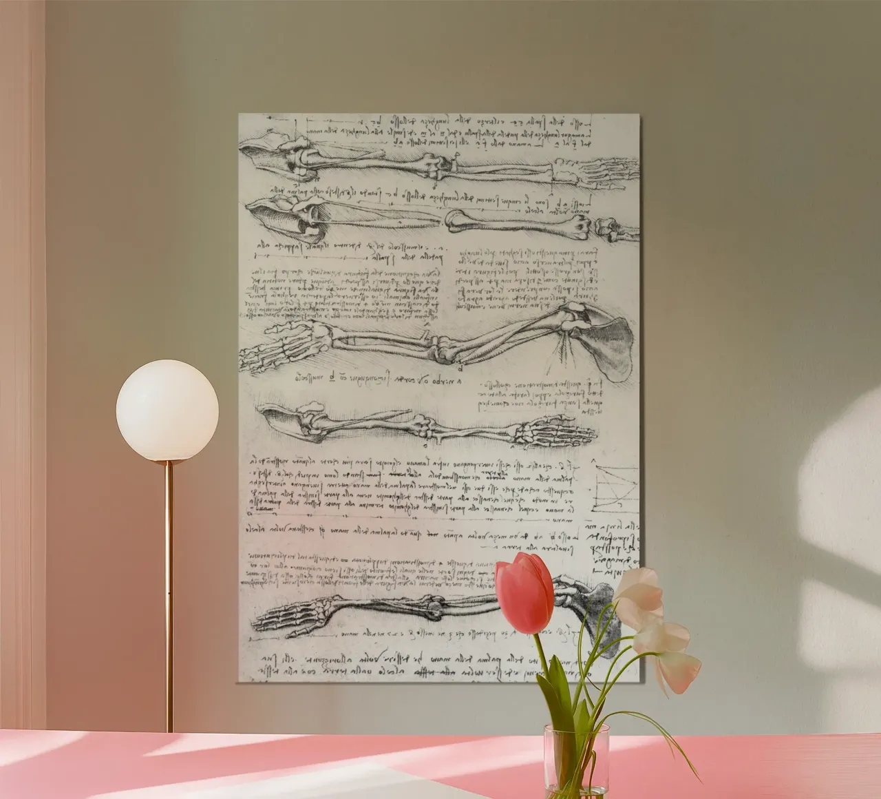 Studio anatomico del braccio poster con telaio in legno da James McIntosh