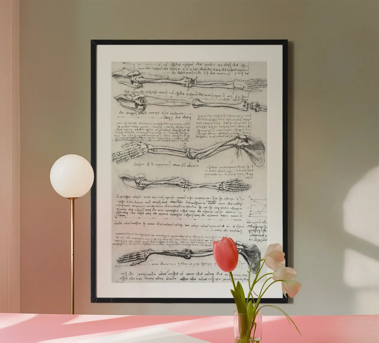 Studio anatomico del braccio poster con telaio in legno da James McIntosh