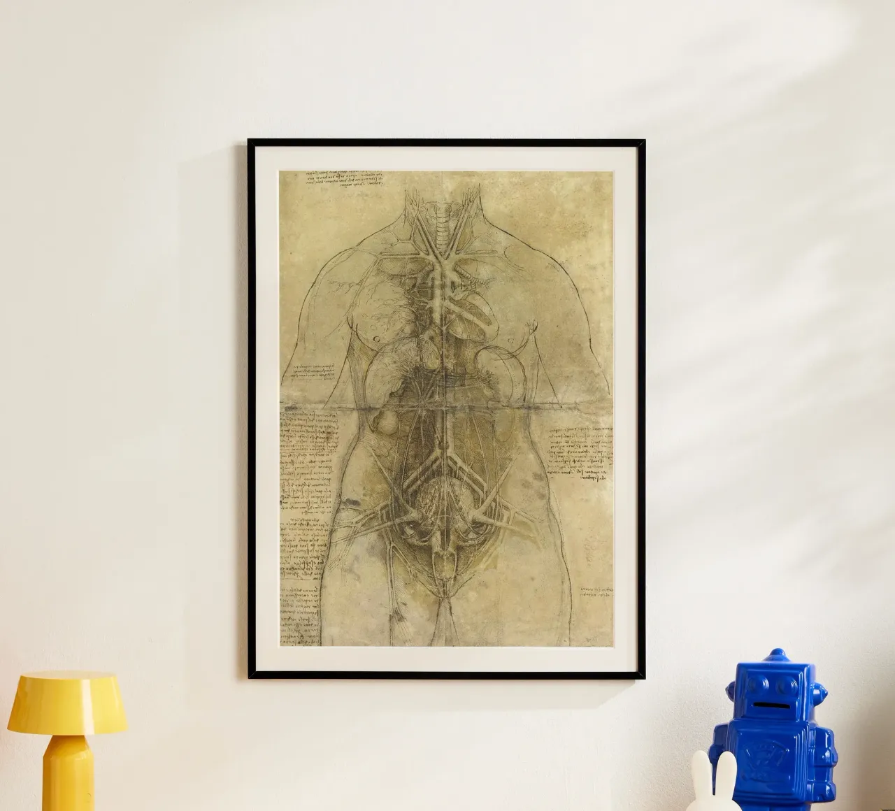 Estudio anatómico de Leonardo da Vinci poster con marco de aluminio de James McIntosh