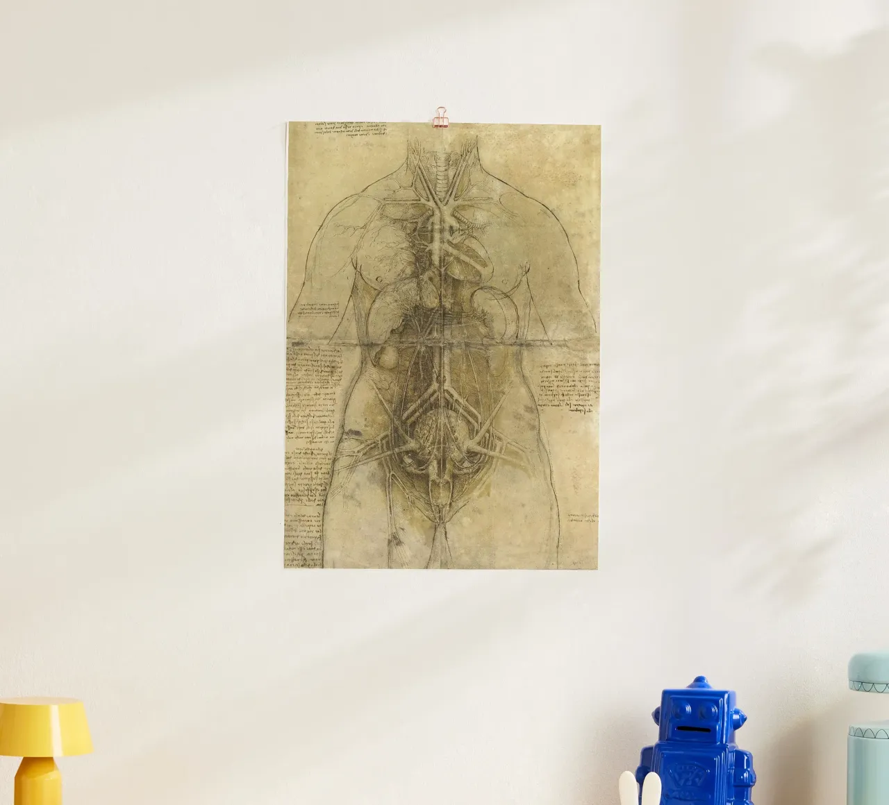 Estudio anatómico de Leonardo da Vinci poster con marco de aluminio de James McIntosh