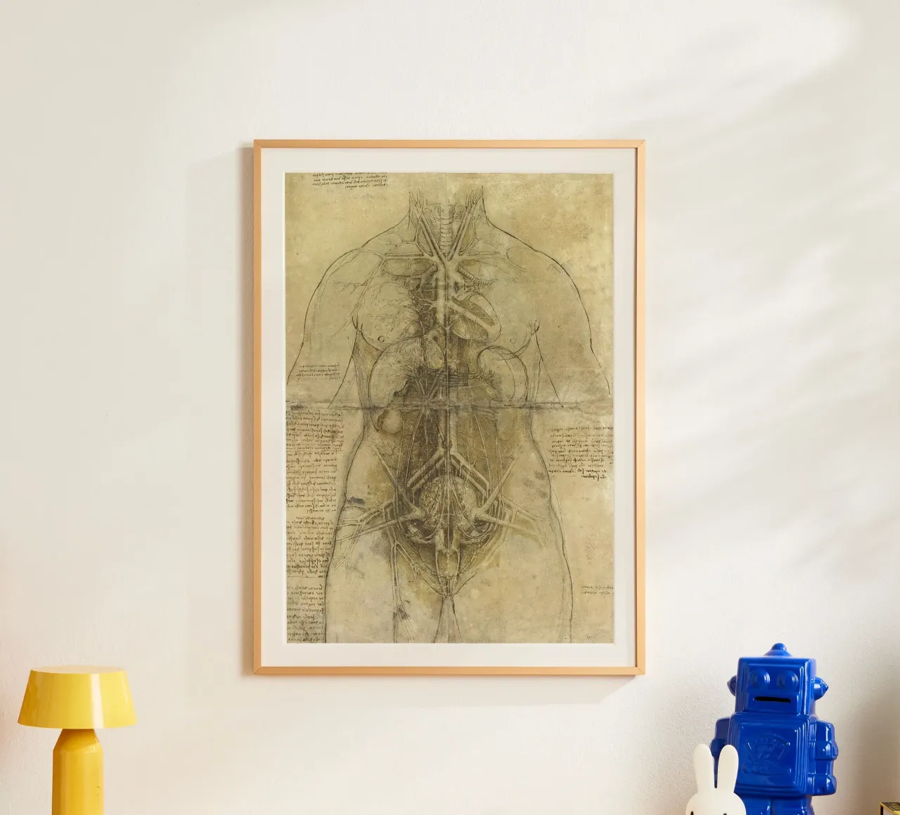 Estudio anatómico de Leonardo da Vinci poster con marco de aluminio de James McIntosh