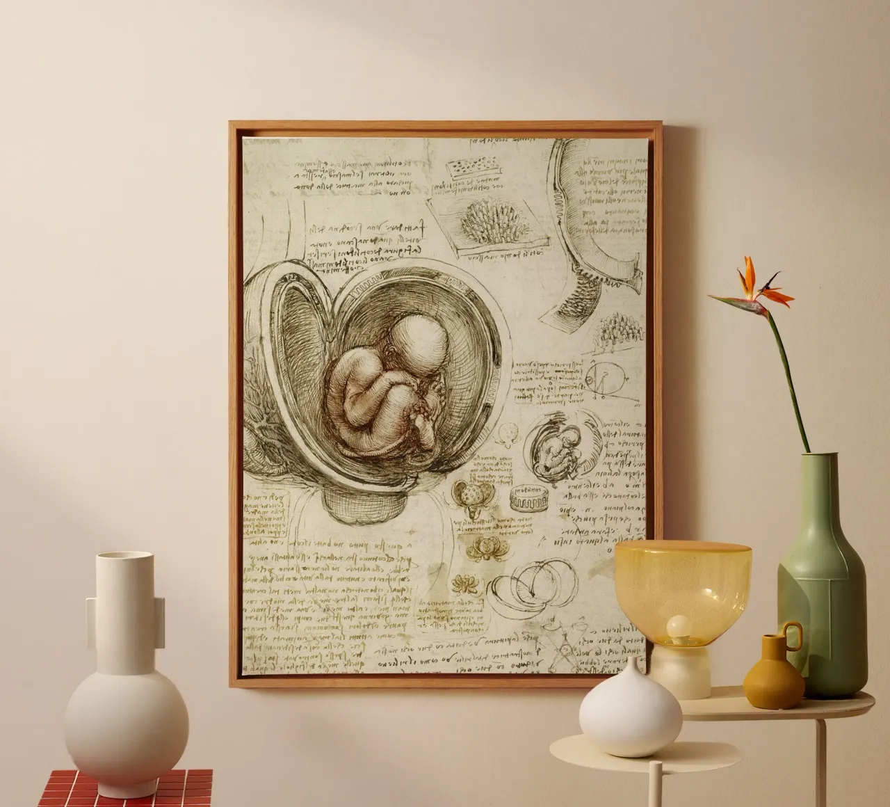 Studies of embryos by Leonardo da Vinci canvas with Floater frame by James McIntosh
