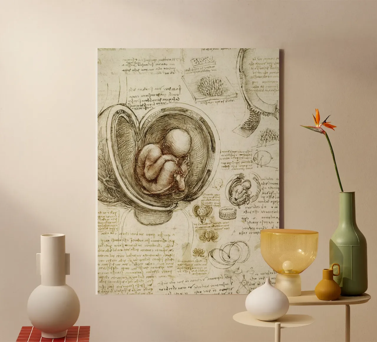 Studies of embryos by Leonardo da Vinci canvas with Floater frame by James McIntosh