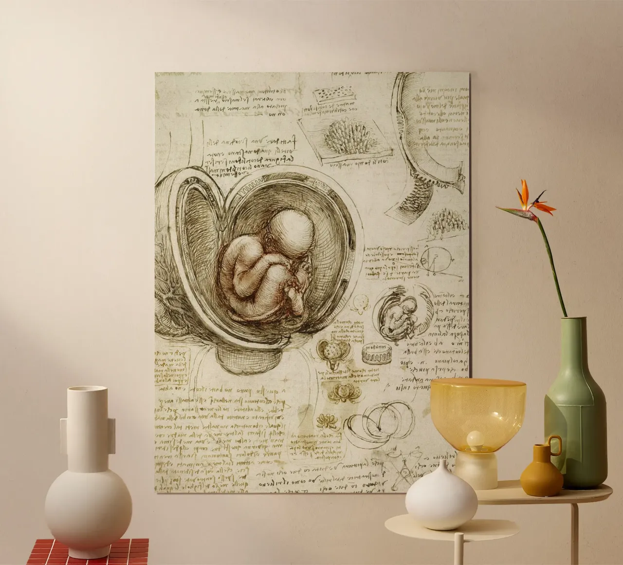 Studi sugli embrioni di Leonardo da Vinci poster da James McIntosh