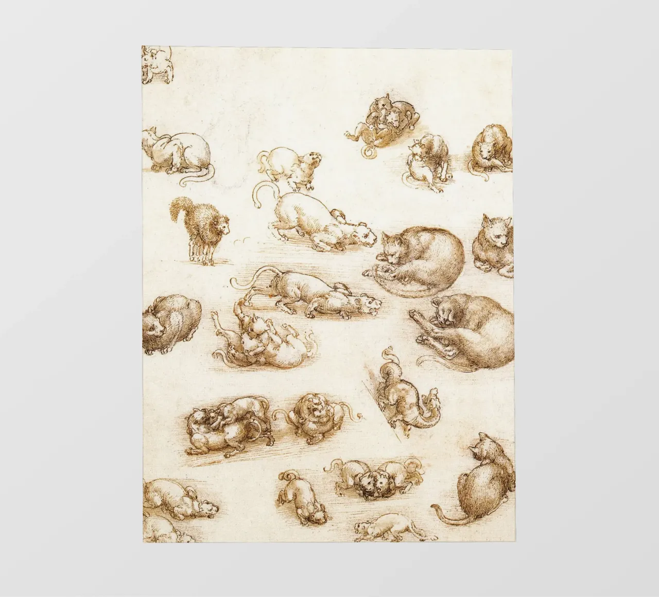 Studio di un cane e di un gatto di Leonardo da Vinci telo in pvc da James McIntosh