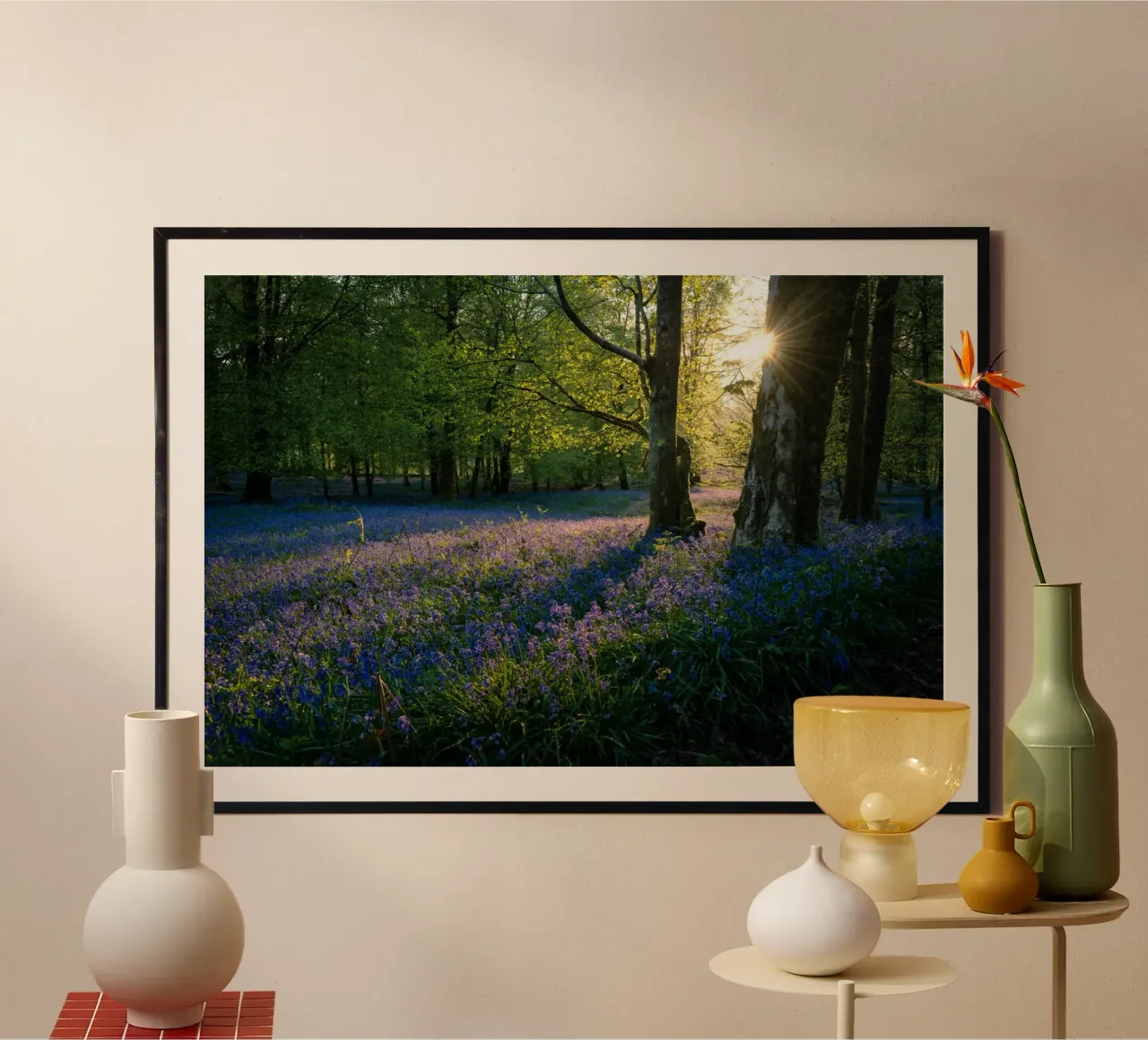 Travolti dai più bei campi fioriti del mondo poster da Nature's Palette