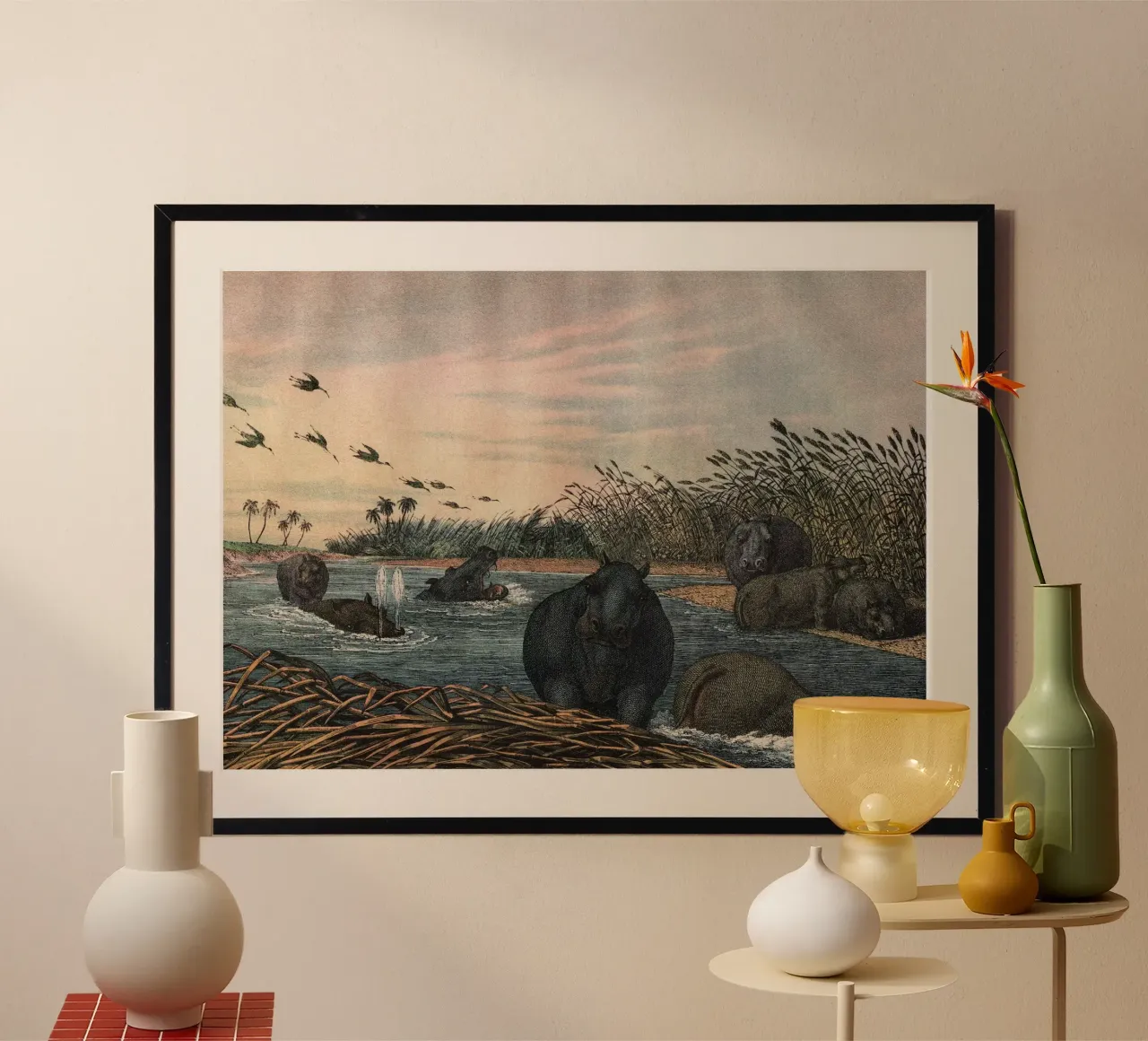Vintage Kolb 5 Tafel 32 Flusspferd poster con telaio in plastica da Vintage Print Collection