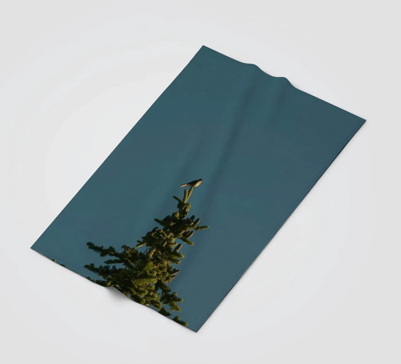 pine tree fleecedeken van Earthly Visions